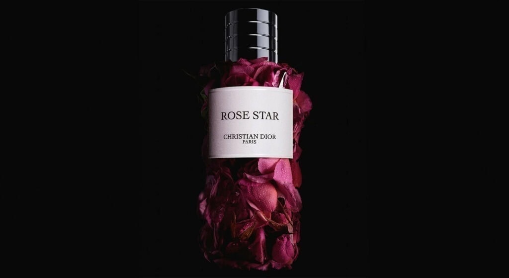 Dior Rose Star – A Floral Signature Guided by Light